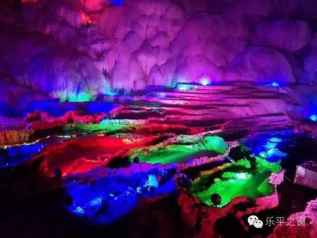 逃离仿真森林