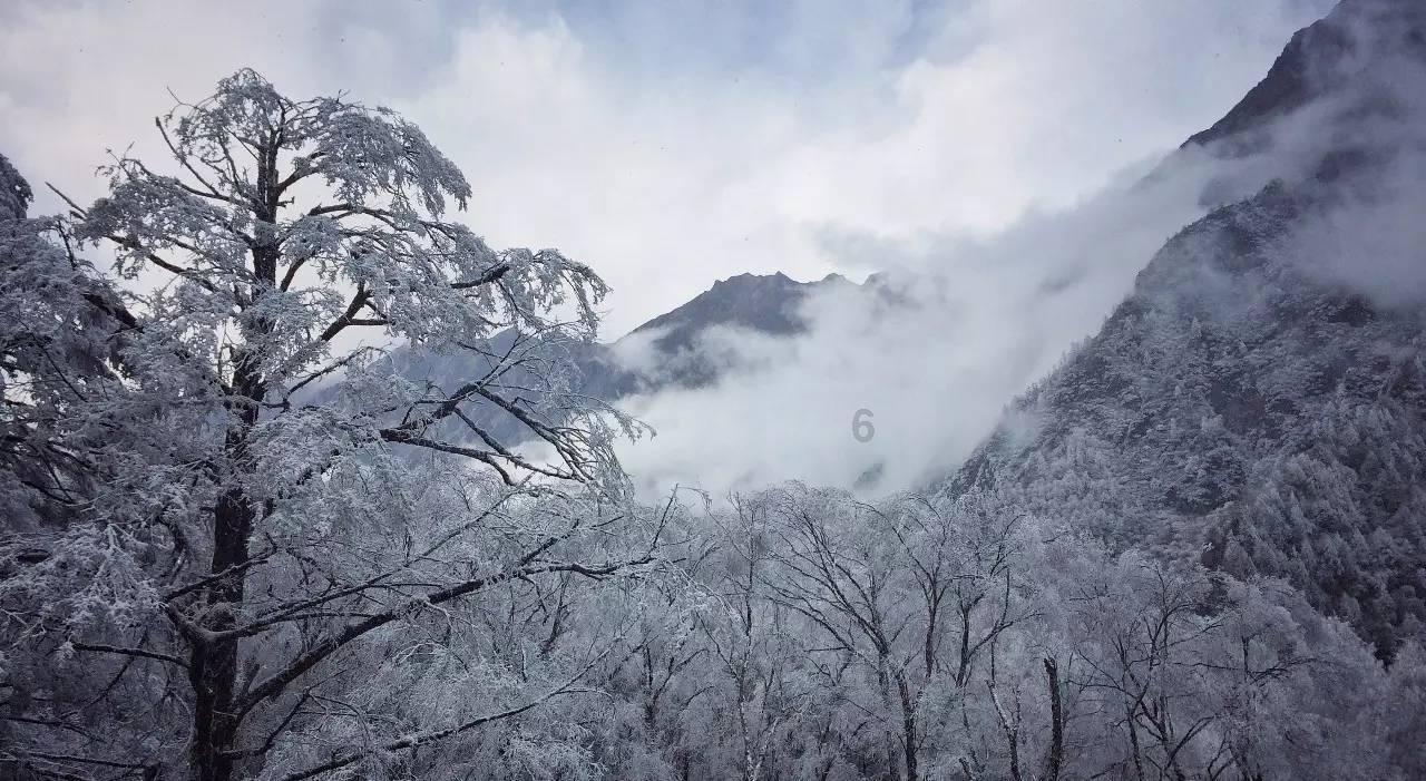文科卫“三下乡” “零距离”暖民心