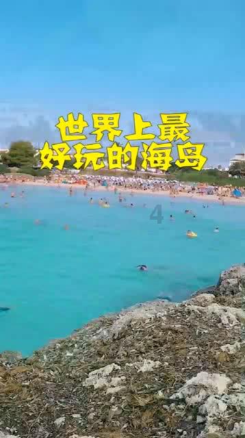 天鹅森林逃脱
