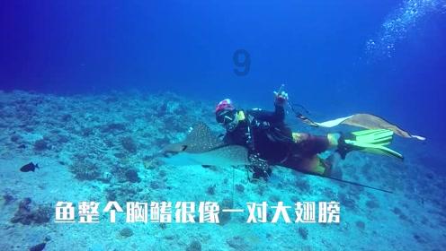 《光明日报》关注晋阳古城考古博物馆开馆