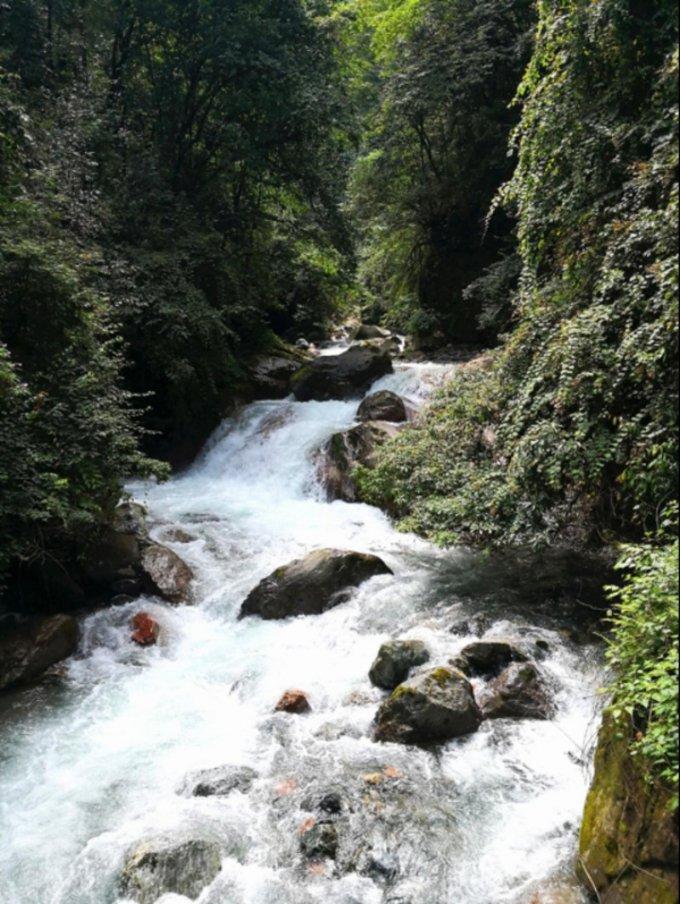 沪江开心词场