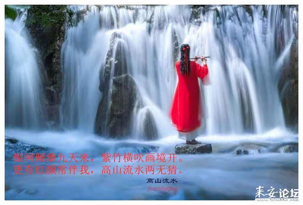 神奇小子龙之陷阱