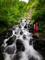 社区上门送祝福 温暖辖区居民心