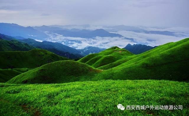 逃离倒影森林